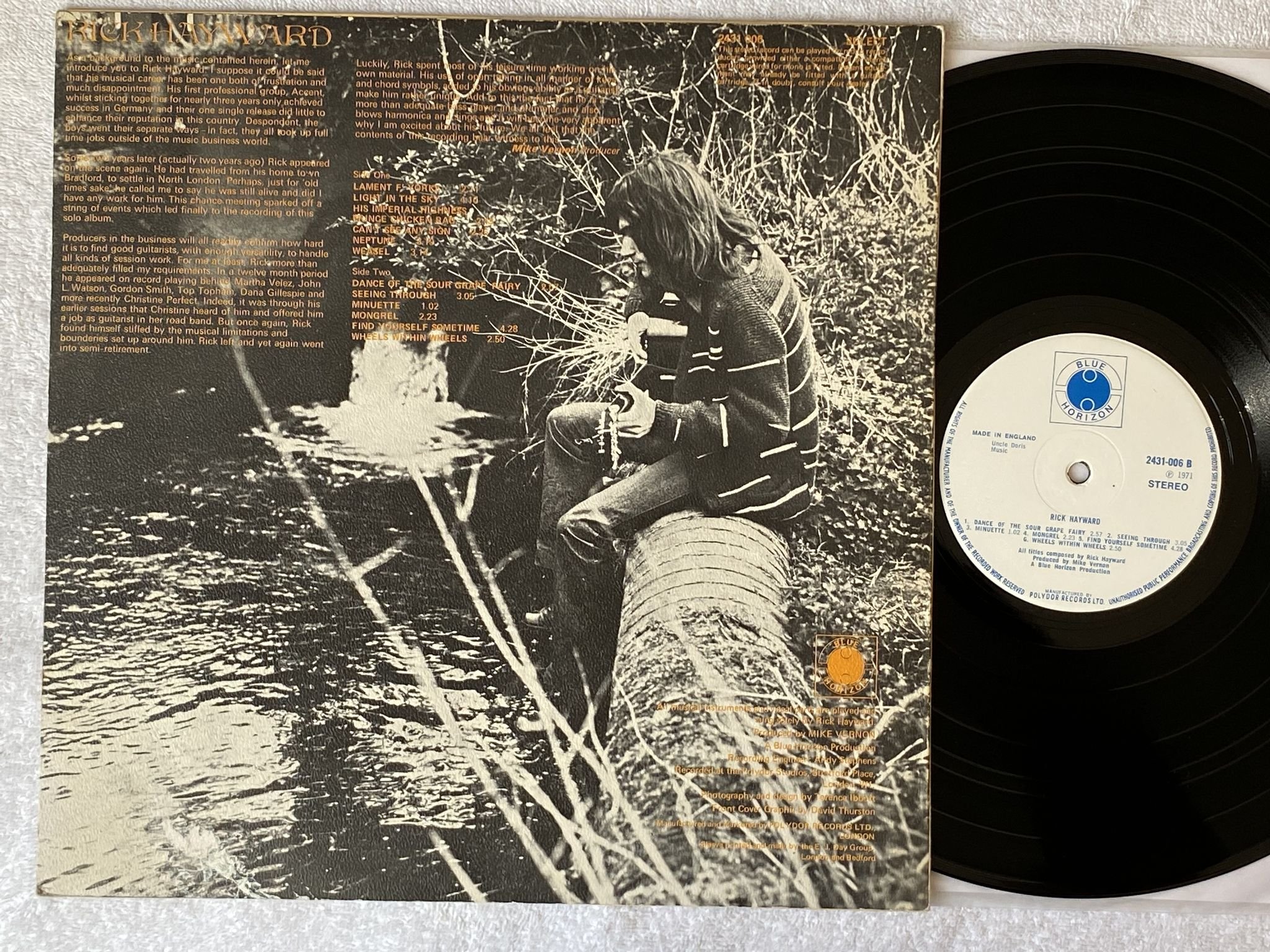 Omslagsbild för skivan RICK HAYWARD s/t LP -71 UK US BLUE HORIZON 2431006 *** Rare Acid Folk ***